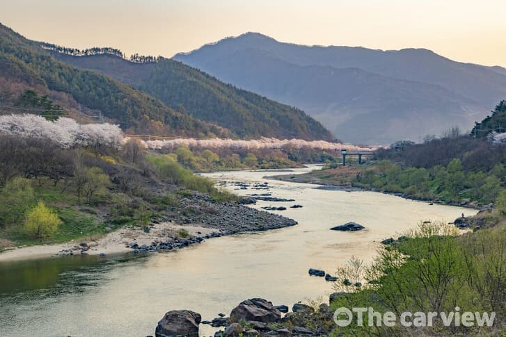 “녹차밭 산책부터 섬진강을 내려다보는 전망대까지” 아름다운 자연을 만끽할 수 있는 여행지 추천